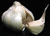 garlic for natural pest control